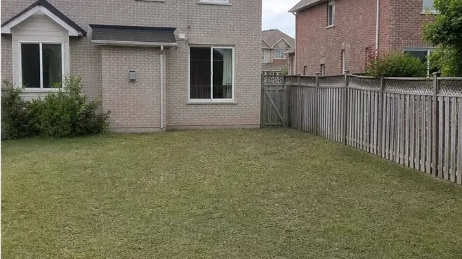 Above-Ground Pool Removal in Thornhill after demolition and cleanup