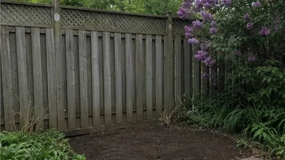 Backyard Shed Removal in Thornhill after demolition and cleanup